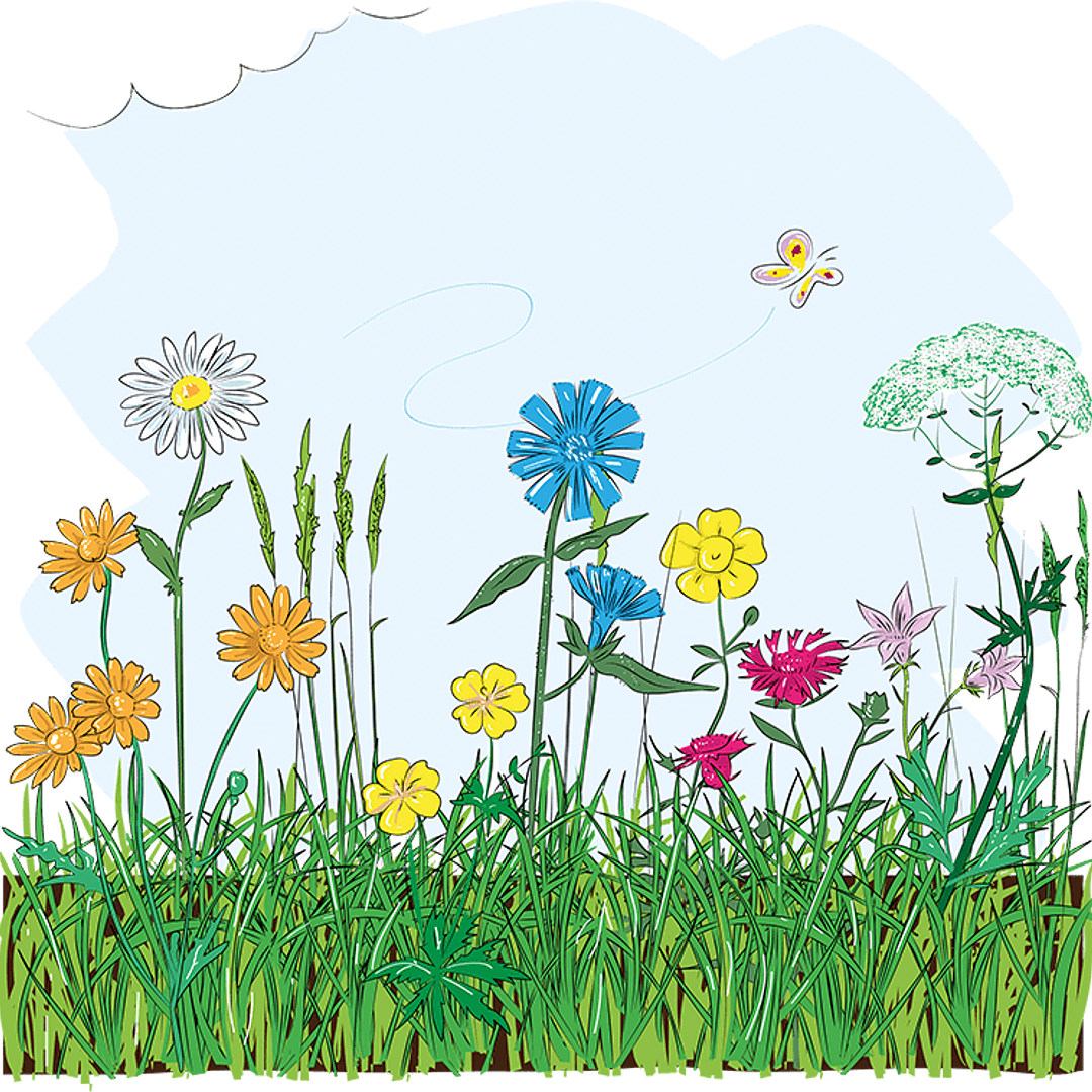 Blumenwiese wort.schule